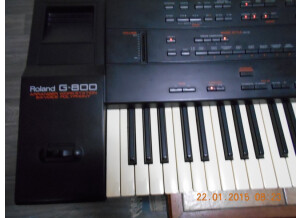 Roland G-800 (73303)