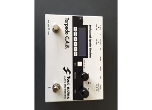 Two Notes Audio Engineering Torpedo C.A.B. (Cabinets in A Box) (33720)