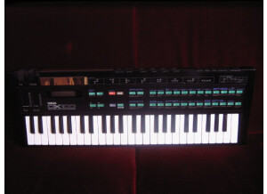 Yamaha DX100 (19720)