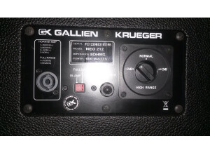 Gallien Krueger Neo 212
