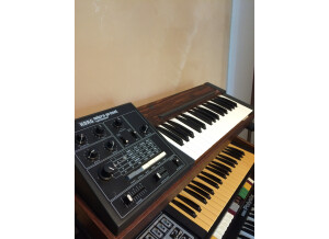 Korg Sigma (73993)