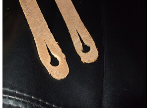 Fender 2" Monogrammed Strap (77869)