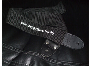 Fender 2" Monogrammed Strap (97472)