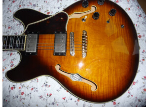 Ibanez AS200 (2815)