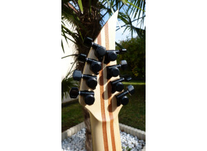 Ran Guitars Crusher (8 cordes) et Crusher FF8 (14122)