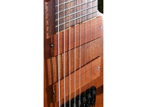 Ran Guitars Crusher (8 cordes) et Crusher FF8 (12243)