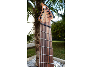 Ran Guitars Crusher (8 cordes) et Crusher FF8 (72011)