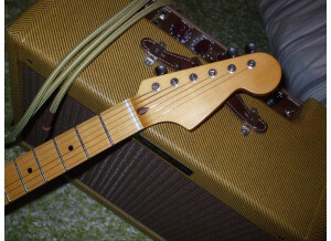 Warmoth Stratocaster (9876)