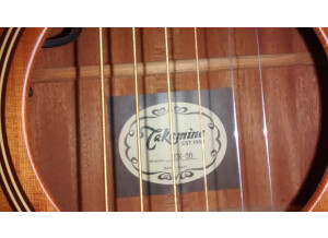 Takamine Guitare Takamine EN 20 Jumbo Electro-Acoustique