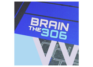 WS the BRAIN 306 [600]