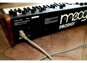 Moog Music Prodigy (49268)
