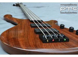PMC GUITARS The Origin 4 strings