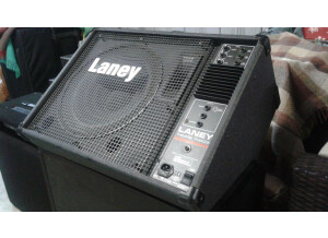 Laney TM300P