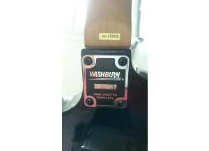 Washburn MG40 (26790)