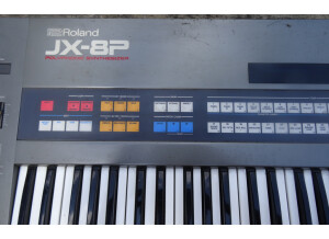Roland JX-8P (8079)