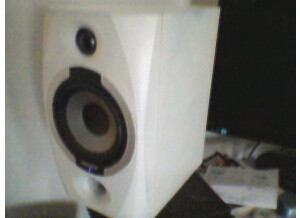 Tannoy Reveal 501A (98399)