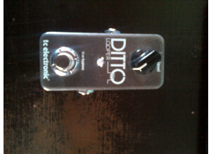 TC Electronic Ditto Looper (36384)