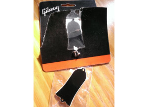 Gibson truss rod cover (3999)