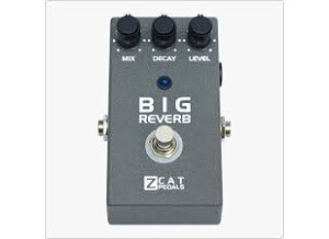 Z.Cat Big Reverb (34626)