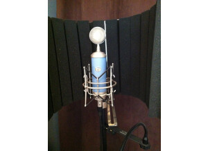 Blue Microphones Bluebird (16371)