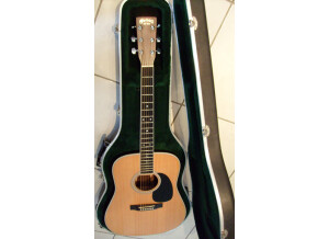 Martin & Co D-35 (94590)