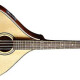 FMO-66 Octave Mandolin FMO-66 Octave Mandolin