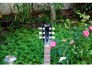 Gibson SG Junior (86885)