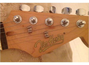 Jim Harley Guitare electrique