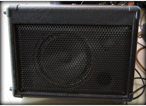 Harley Benton HBAC30 (23360)