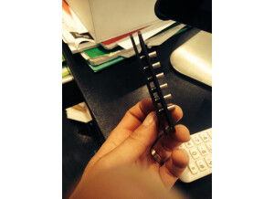 Electro-Harmonix Memoryman xo