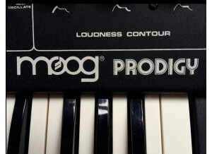 Moog Music Prodigy (85653)