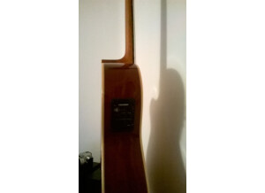 Alhambra Guitars Crossover CS-1 CW E1