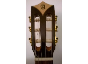 Alhambra Guitars Crossover CS-1 CW E1