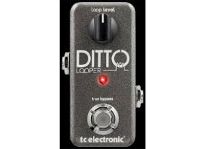 TC Electronic Ditto Looper (68484)