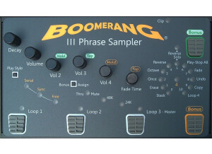 Boomerang III Phrase Sampler (9663)