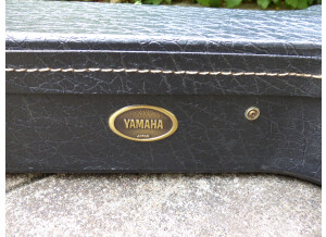 Yamaha APX5A (33023)