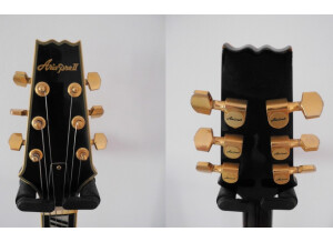 Aria Aria Pro II FA70 BS - L5