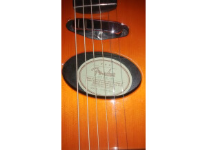 Fender JZM Deluxe (26183)