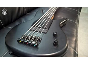 Ibanez GWB35 (39914)