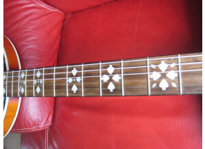 Tennessee Guitars Banjo 6 (75533)