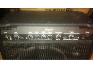 Fender Bassman 100 (8936)