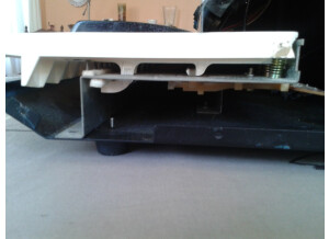 Korg Ms-10 (69047)