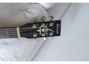 Tennessee Guitars Banjo 6 (88666)