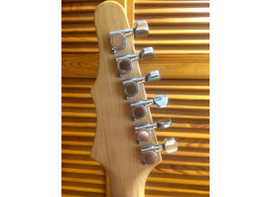 Epiphone Stratocaster 210
