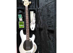 Sterling by Music Man Ray34 (58118)