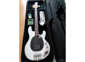 Sterling by Music Man Ray34 (66541)