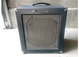 Ampeg B-100R (87891)