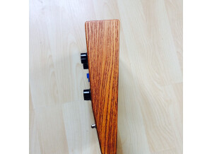 Moog Music MF-102 Ring Modulator (54070)