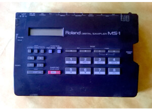Roland MS-1 (94896)