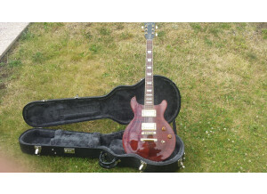 Gibson Les Paul Standard Dc Plus Amber (10640)